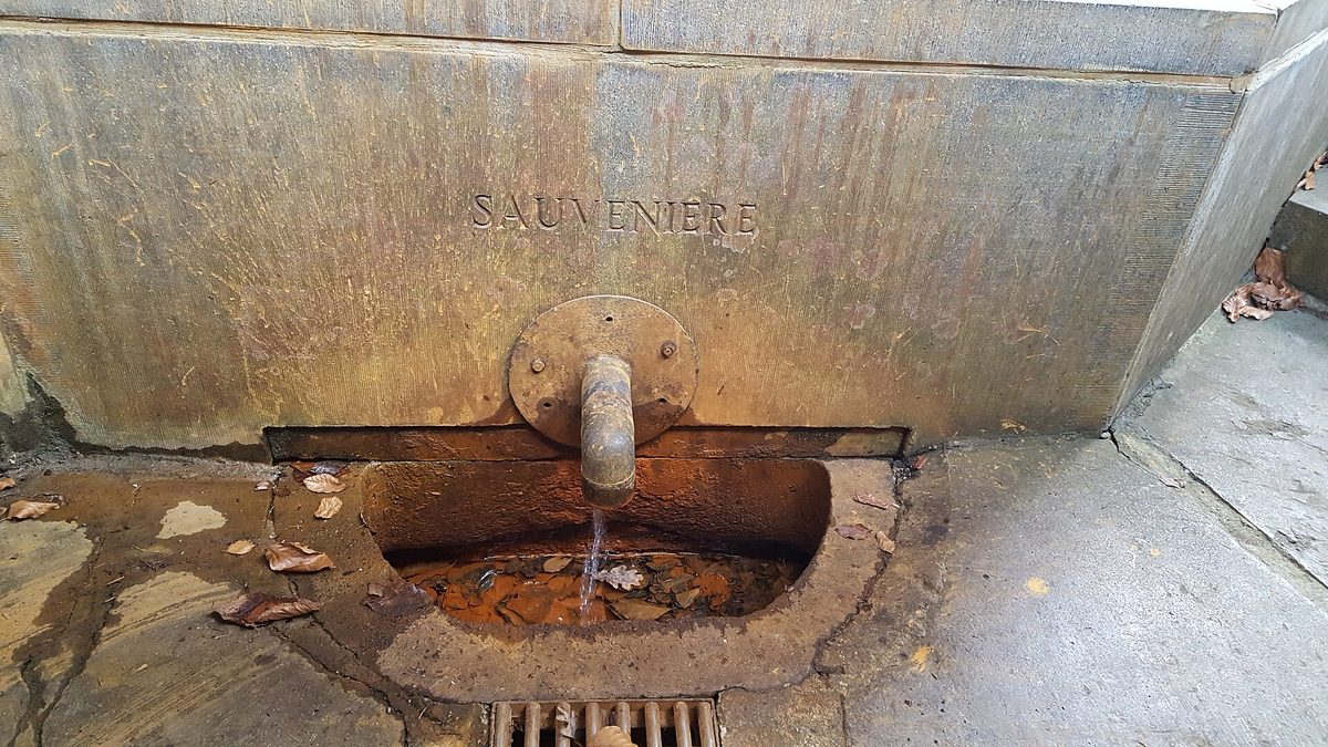 A stone spring set into a wall, water running from a short iron spout into a shallow basin cut in the rock. The name SAUVENIERE is carved into the stone above the spout, and the stone around it is stained orange by the iron in the water. Fallen leaves lie in the basin and on the wet paving in front of it.